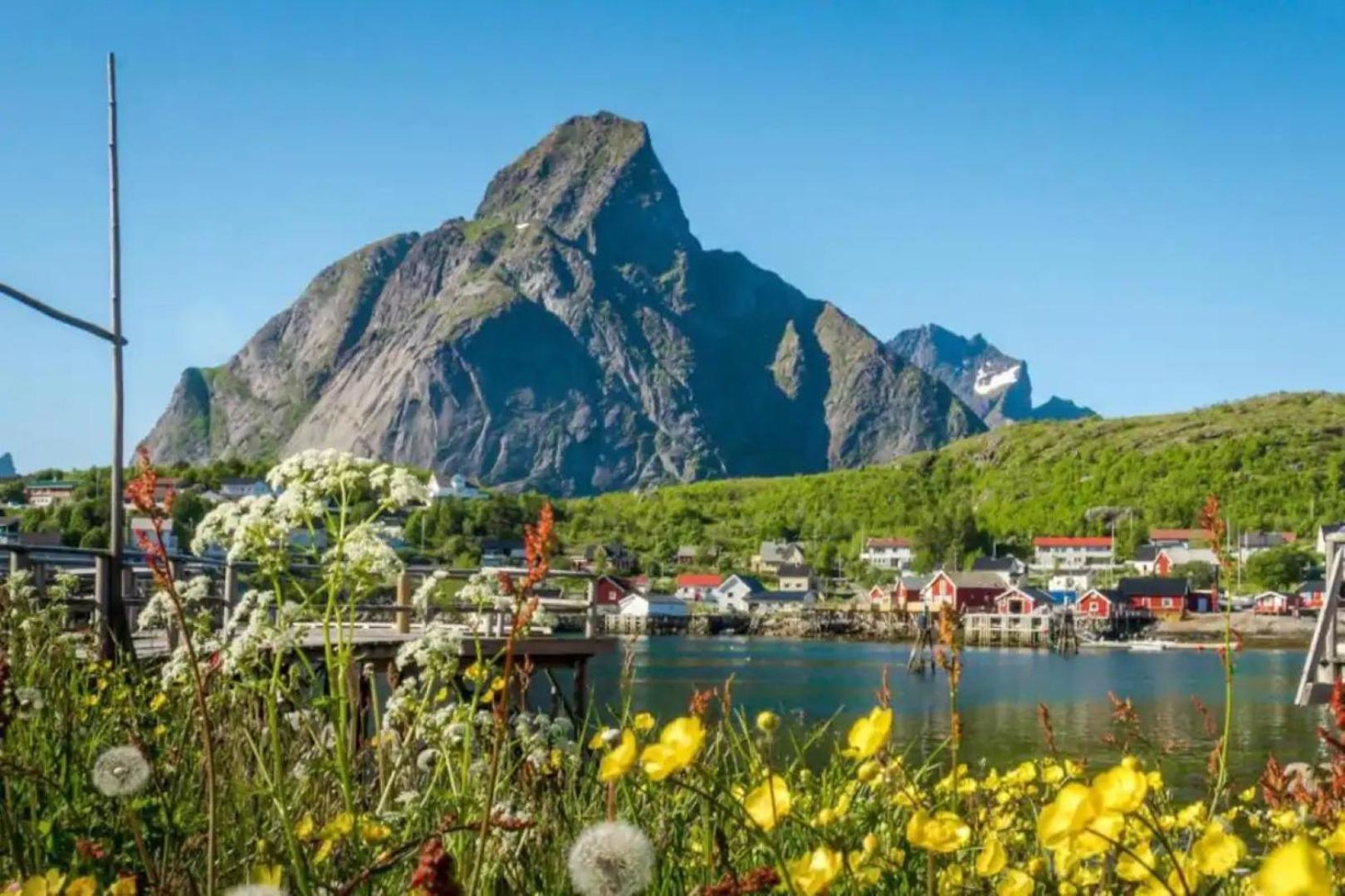 Madelhea Cabin- Seaview Lodge Reine Dış mekan fotoğraf
