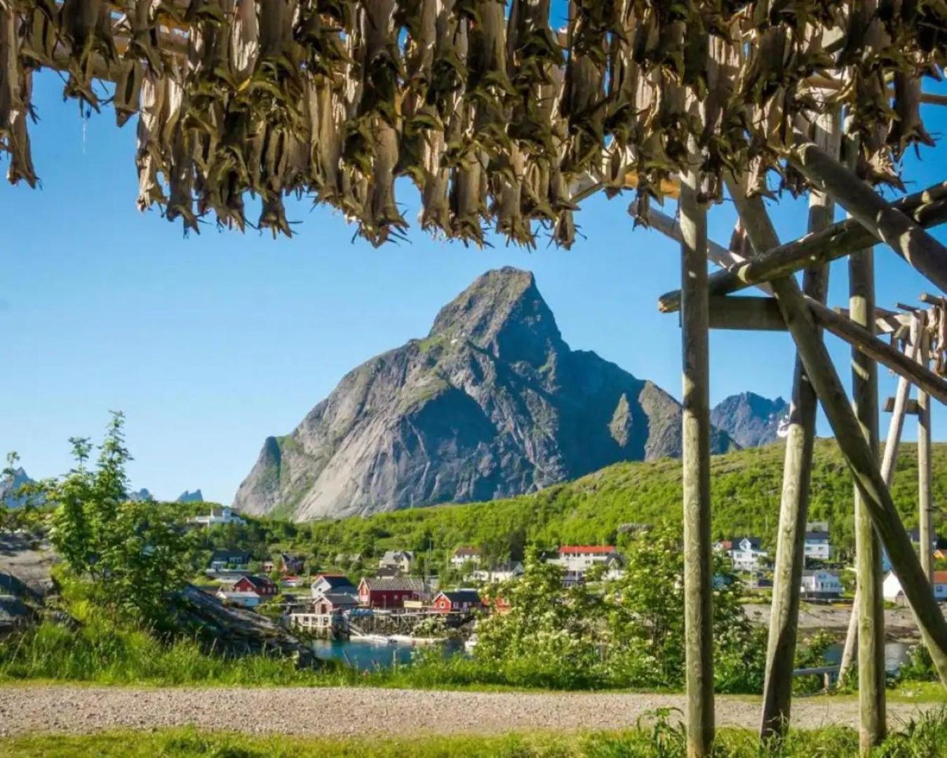 Madelhea Cabin- Seaview Lodge Reine Dış mekan fotoğraf